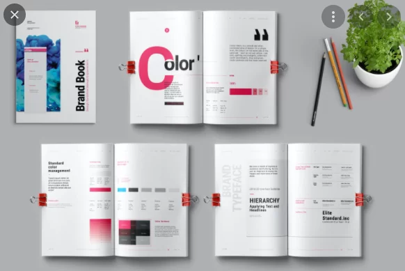 Brand guidelines bao gồm những gì